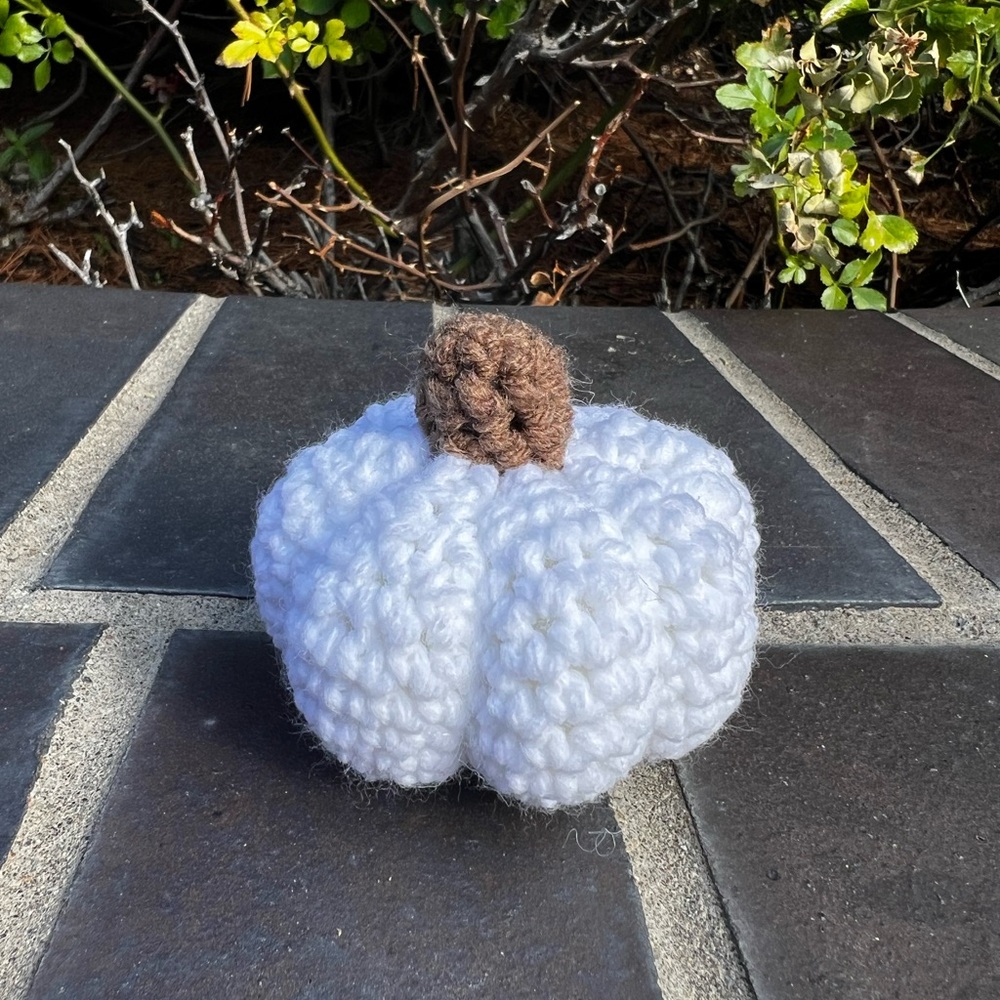 Hand Crocheted Set of 5 Rustic White & Orange Pumpkins Fall Halloween Decor! - Picture 7 of 12